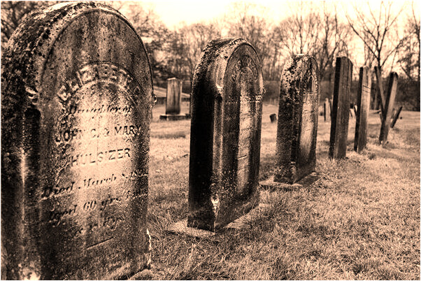 夢到了豬尿噴我滿身意味著什麼_周公解夢官網