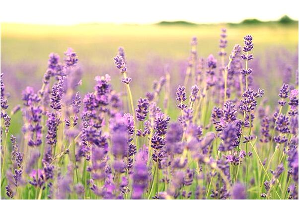 夢到了被敵人包圍是凶兆還是吉兆_周公解夢官網