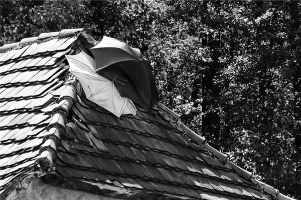 夢見房子漏水是什麼意思_周公解夢