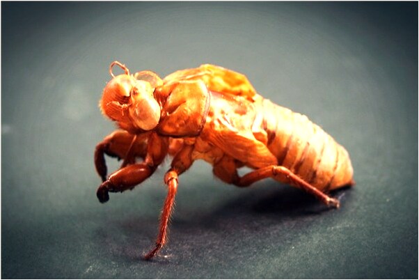 夢到自己跟前男友和好了預兆了什麼嗎_周公解夢官網