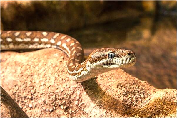 夢見兩個小女孩從天上掉下來代表著什麼_周公解夢官網