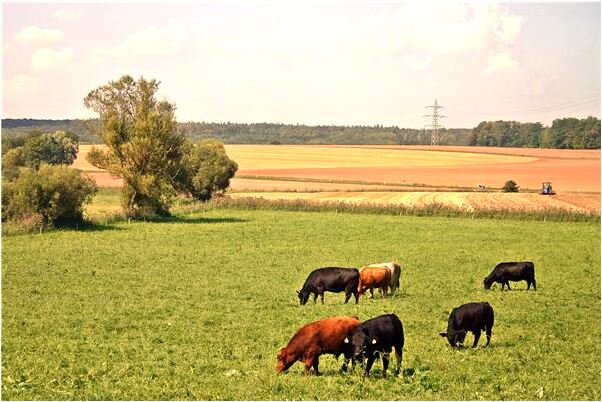 夢見手淫很多次預兆了什麼嗎_周公解夢官網