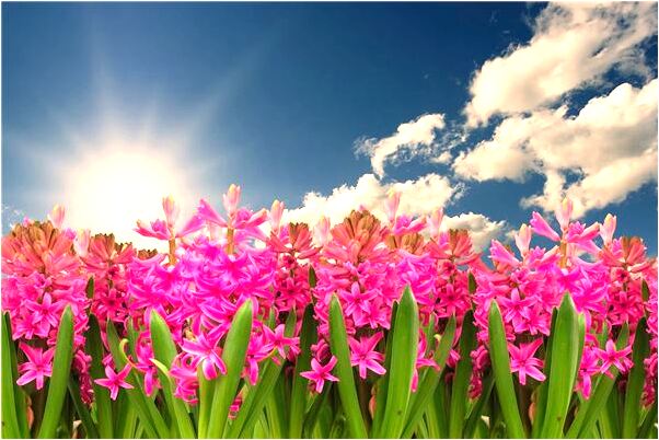 夢到了有人帶我找水喝是好事還是壞事_周公解夢官網