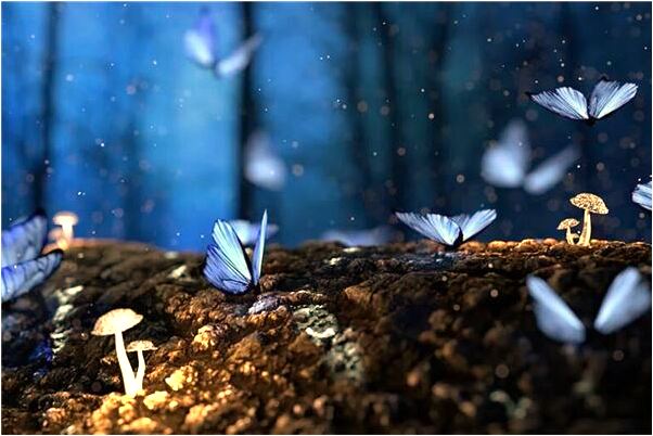 夢到了做生意有什麼預兆_周公解夢官網