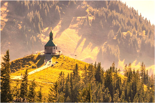 夢到柴立瑞代表什麼_周公解夢官網