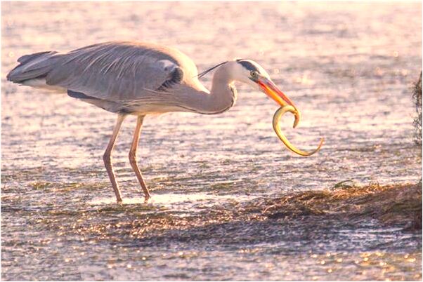 夢到爬到山頂發現空保險箱是啥預兆_周公解夢官網