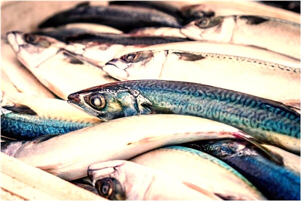 夢到騎車從上坡掉下來是什麼徵兆_周公解夢官網