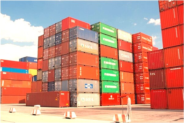 夢到好多肉帶回家是什麼預兆_周公解夢官網