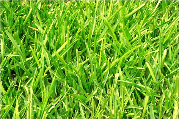 夢到別人和自己挺著大肚子是怎么回事_周公解夢官網