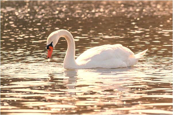 夢到自己光腳很輕鬆走路是不是好的徵兆呢_周公解夢官網