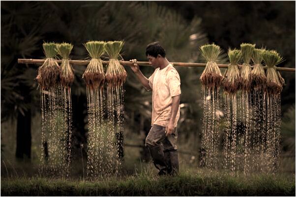 夢見我被家人燙會是什麼預兆_周公解夢官網