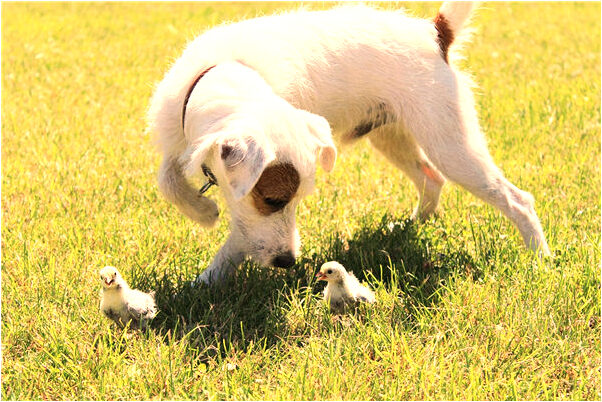 夢到了春江花月夜代表什麼_周公解夢官網