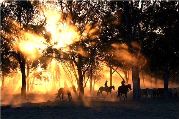 夢到了見自己有很多眼屎會有什麼預兆_周公解夢官網