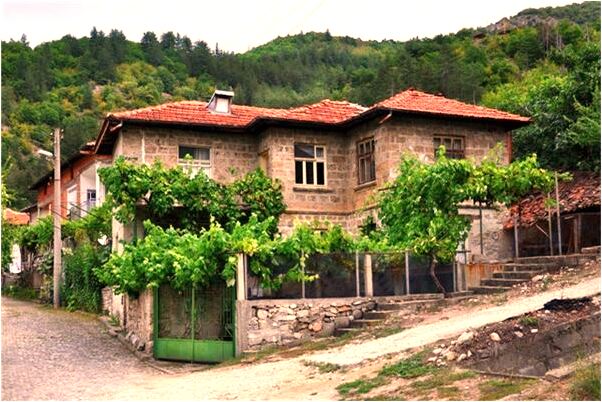 夢到提死人頭是什麼預兆_周公解夢官網