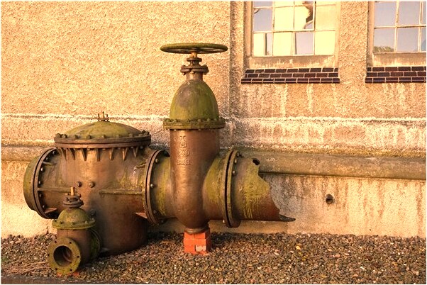 夢到了老公拉屎是金色的會是什麼預兆_周公解夢官網