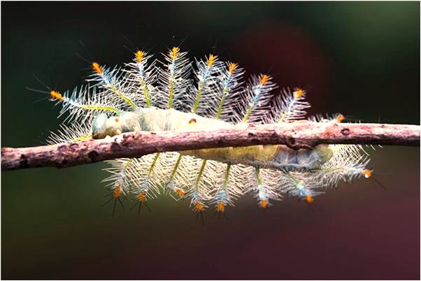 夢到了自己的爸媽抱孫子好不好_周公解夢官網