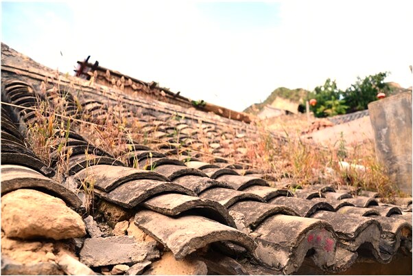 夢到死小象是什麼徵兆_周公解夢官網