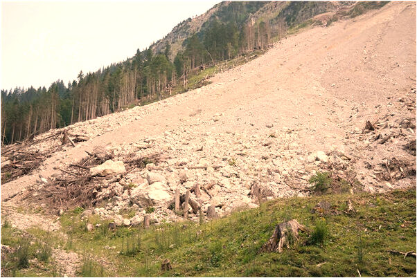 夢見摩羯座十二月是什麼預兆_周公解夢官網