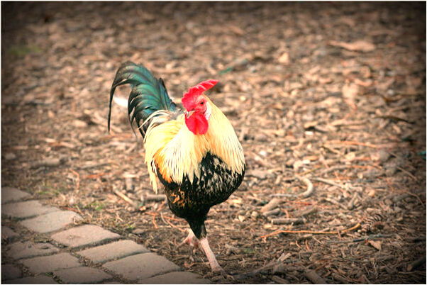 夢見要給已逝的母親洗炕單是什麼徵兆_周公解夢官網