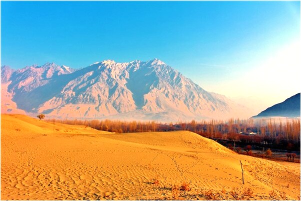 夢見上廁所草紙著火是什麼意思_周公解夢官網