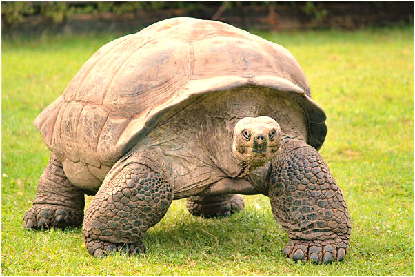 夢到了左擁右抱是什麼意思_周公解夢官網