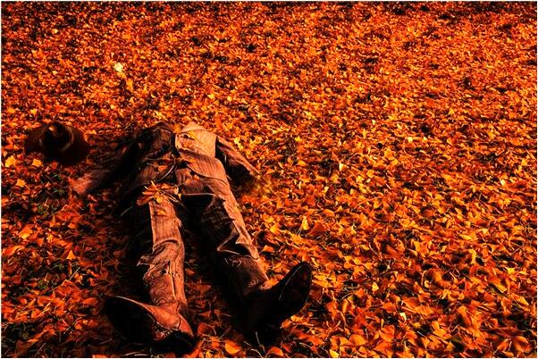 夢到同事都在單位院子裡看書有什麼意思嗎_周公解夢官網