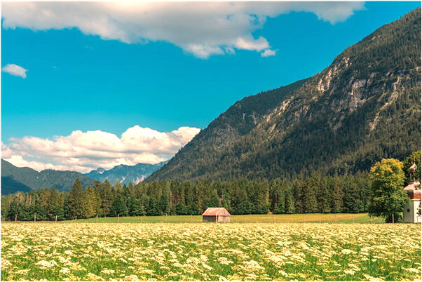 夢見懷著小孩代表什麼_周公解夢官網