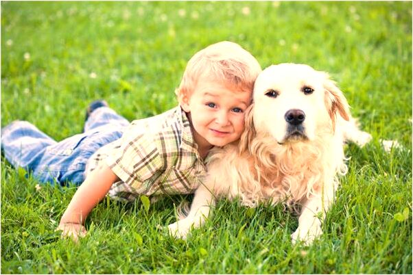 夢見好朋友是妖怪是好的徵兆嗎_周公解夢官網