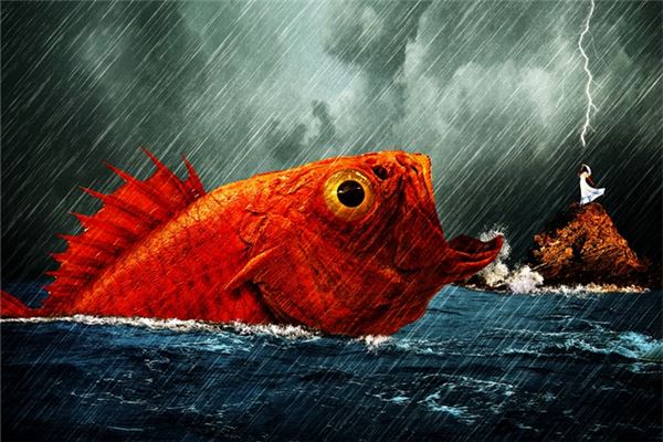 夢見水庫里有好多大魚_周公解夢