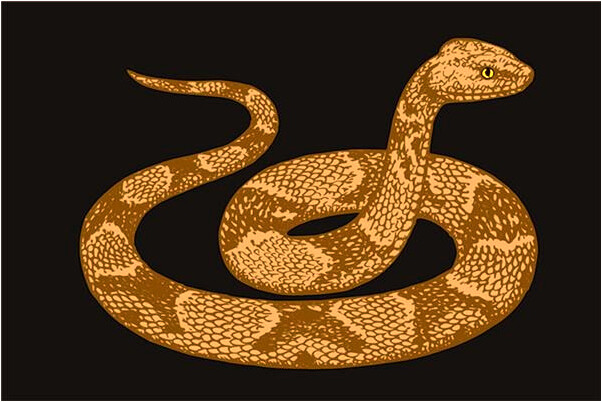 夢見我生了兒子有什麼意義嗎_周公解夢官網