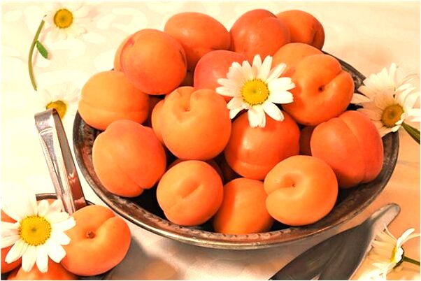 夢到了女兒掉池裡意味著什麼_周公解夢官網