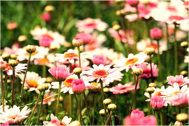 夢到了男孩灑了一臉尿是啥意思_周公解夢官網