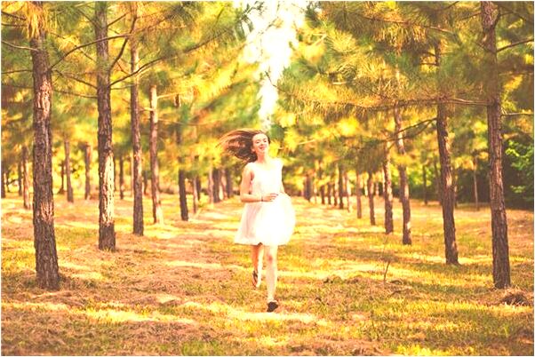 夢到了一條大黑蛇變成小黑蛇什麼預兆_周公解夢官網