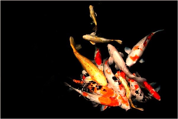 夢到自己的牙刷髒啦是好事還是壞事_周公解夢官網