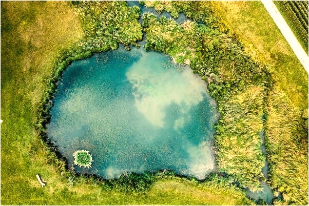 夢到懷孕被迫嫁給一個男人有什麼意義嗎_周公解夢官網