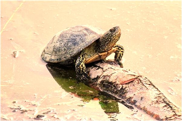 夢到了老公弄壞東西會是什麼預兆_周公解夢官網