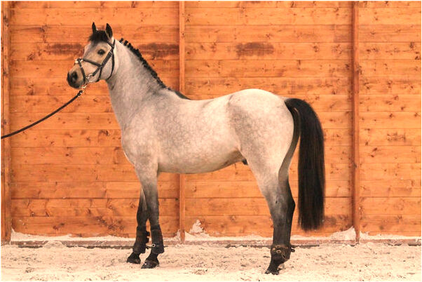 夢到了做愛視頻會是什麼預兆_周公解夢官網