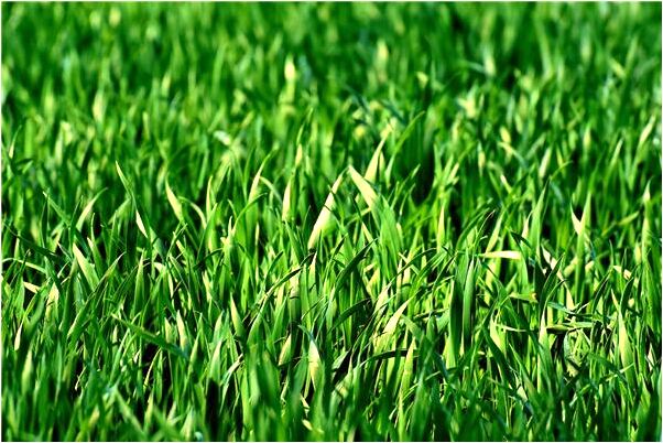 夢到給別人的屋樑攛紅漆預示什麼_周公解夢官網