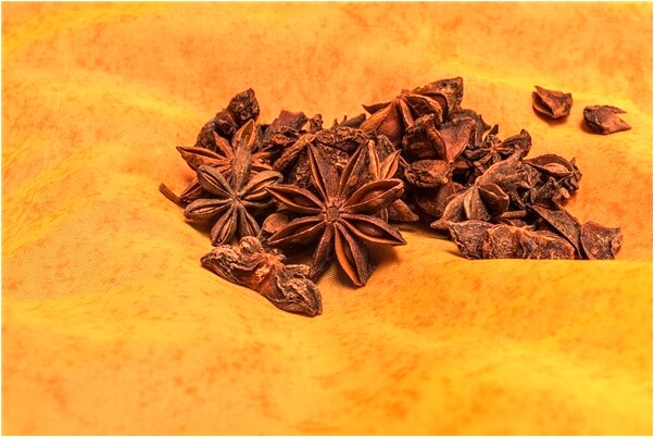 夢見一條死了鱷魚想咬我代表著什麼？_周公解夢官網