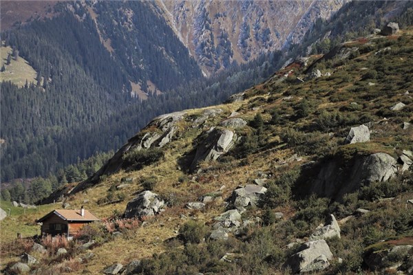 夢到山上睡覺是什麼預兆_周公解夢