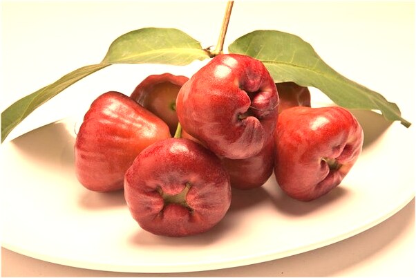 夢到了招駙馬是不是好的徵兆呢_周公解夢官網