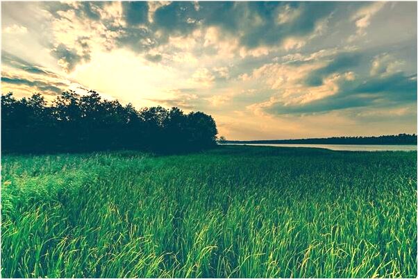 夢到了車掉河裡意味著什麼_周公解夢官網