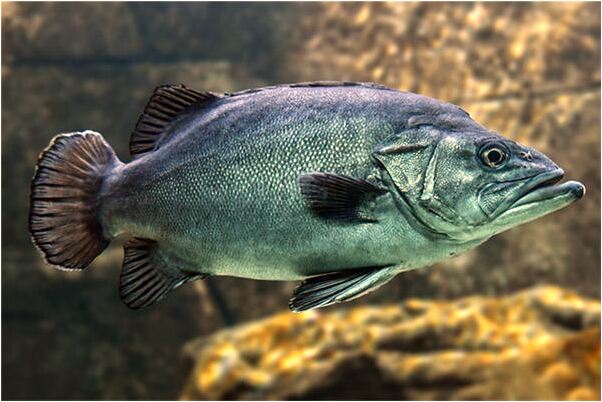 夢到和爸媽一起睡覺代表什麼_周公解夢官網