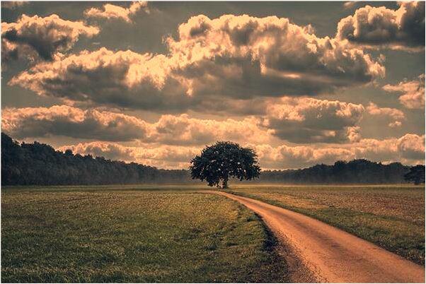 夢到別人沒衣服穿有什麼意思_周公解夢官網