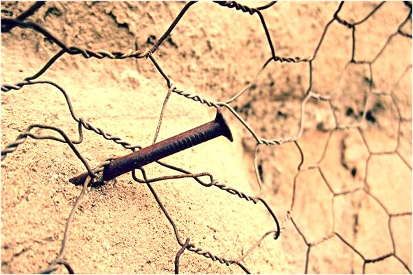 夢到代兒子插魚有什麼含義_周公解夢官網