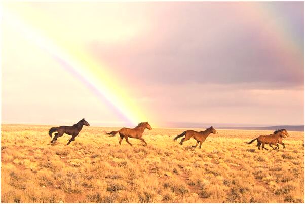 夢見女兒乘坐飛艇預示了什麼_周公解夢官網
