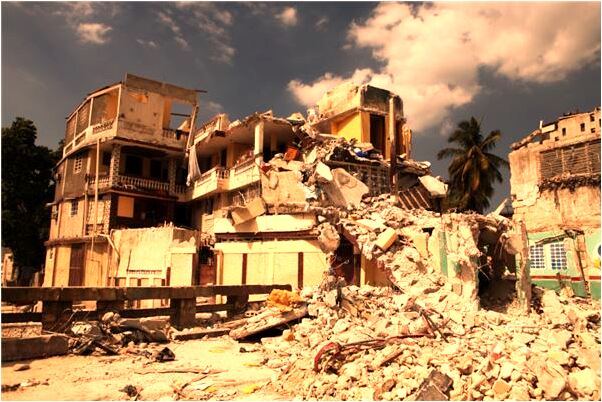 夢見成群的大小雞被我趕進圈舍預示什麼_周公解夢官網