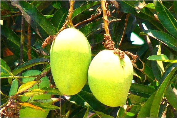 夢到情人及他的老婆和我在一起會是什麼預兆_周公解夢官網