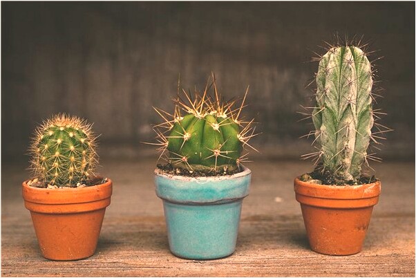 夢到和小姨子親熱是啥預兆_周公解夢官網