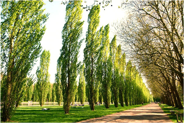 夢到給喜歡的人打電話的預兆_周公解夢官網